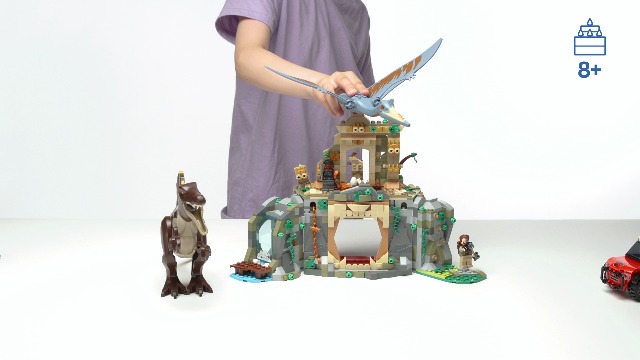 抜群。山採りソヨゴ。 71AcgxHXBQL._AC_UF350,